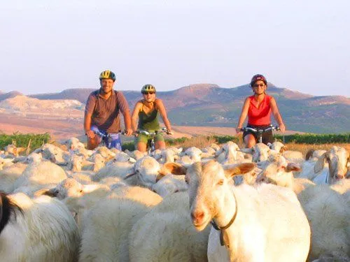 A Mine of Memories Cycle Tour