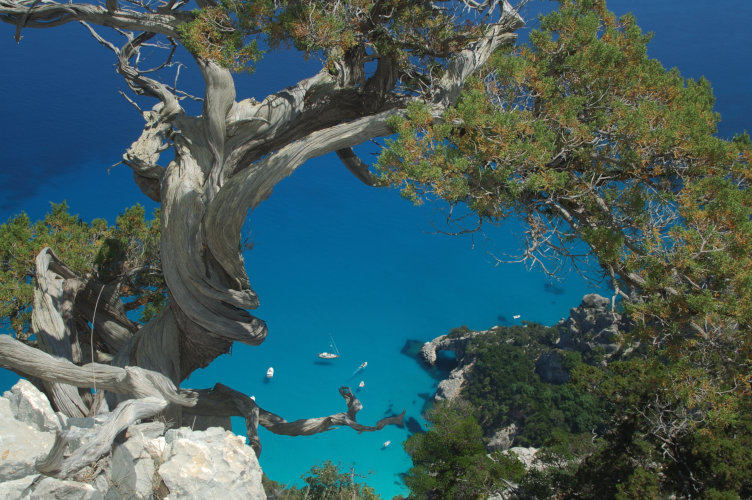 experiences and private excursions in Sardinia